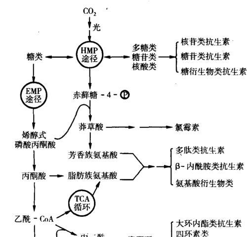 破坏性生物行为指令的解析（探究破坏性生物行为指令对社会的影响及应对之策）