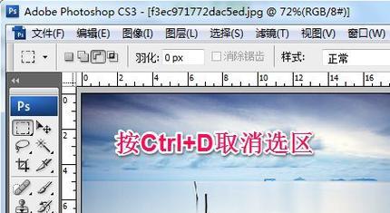 PS填充选区快捷键在哪里？如何快速找到并使用？