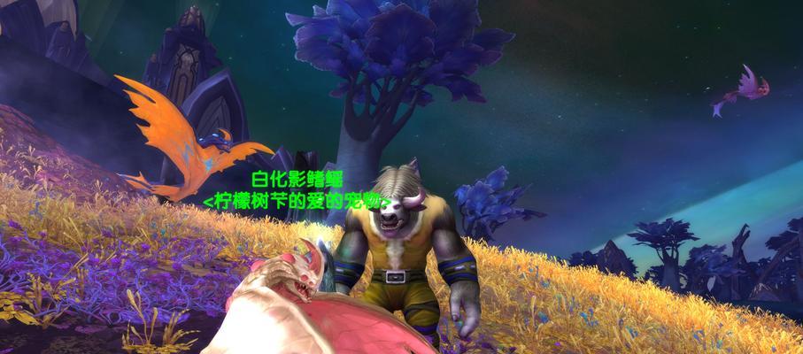 魔兽世界猎人宝宝大全及坐标在哪里找？如何获取？
