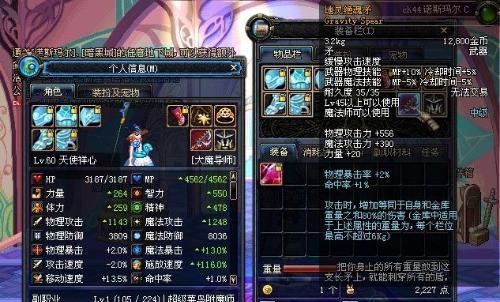 dnf炎魔之魂宠物属性选择指南：如何挑选最佳属性组合？