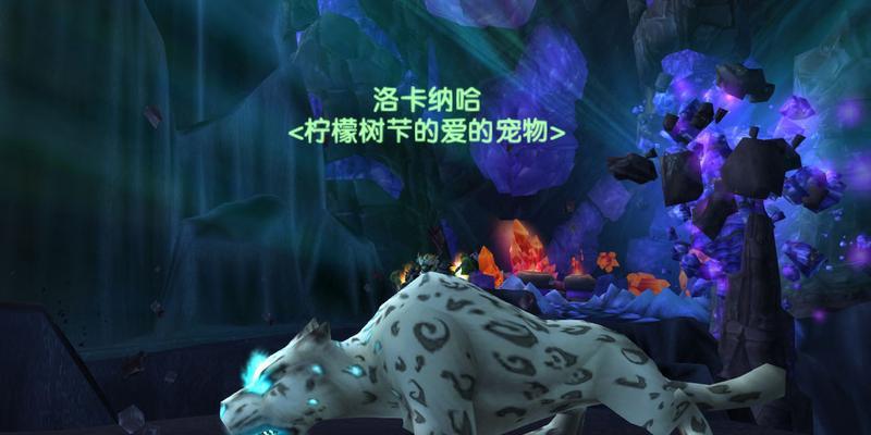 wow猎人必抓五只宠物位置在哪里？如何快速找到它们？