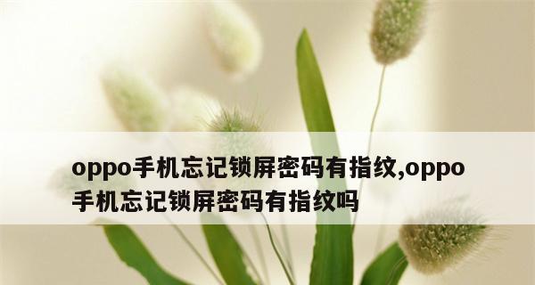 能解开所有手机密码的软件真的存在吗？如何安全使用？