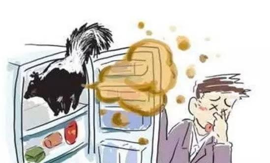怎么去除厕所异味？有效方法大公开！