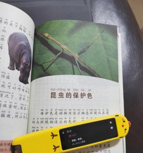 如何在Windows 7中设置保护色？保护色设置常见问题解答？