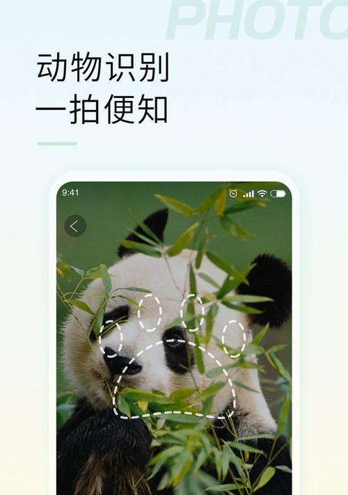 最新手机拍照排行榜是怎样的？如何根据拍照功能选择手机？