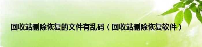 电脑找不到回收站怎么办？如何恢复或重新创建回收站？