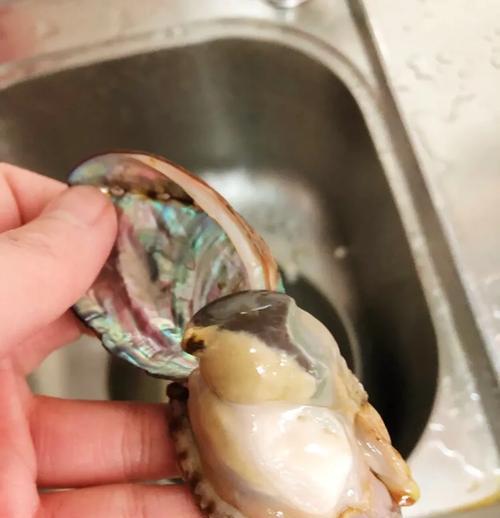 鲍鱼要保留外壳怎么杀和清洗？清洗鲍鱼有哪些步骤？