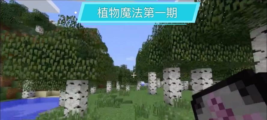 我的世界植物快速生长的秘诀是什么？操作步骤如何？