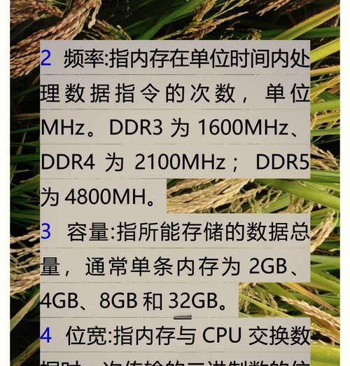 电脑内存频率怎么看？如何检查内存性能？