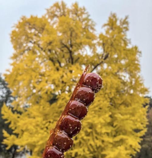 手机摄影饭店怎么拍？拍照技巧有哪些？