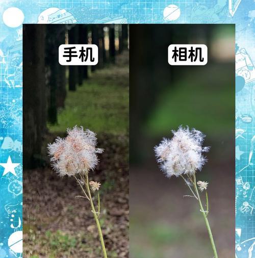 手机如何控制三百多个相机拍照？操作步骤是什么？