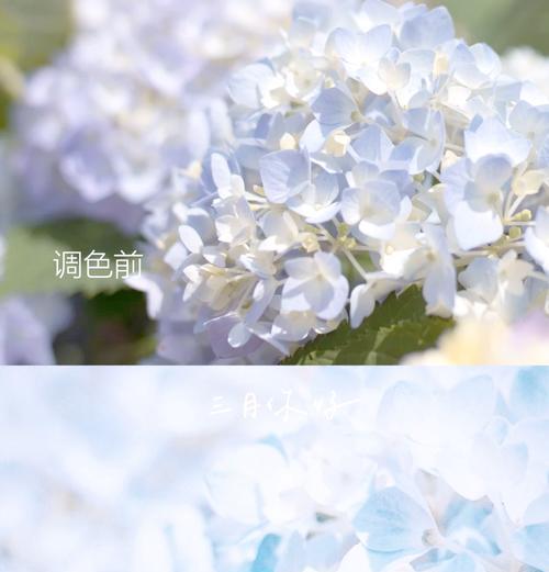 春日拍照手机调色参数设置方法是什么？如何调整手机拍照色彩？
