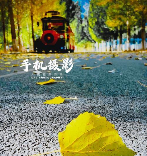 如何使用一组手机拍摄照片？手机拍照效果如何？
