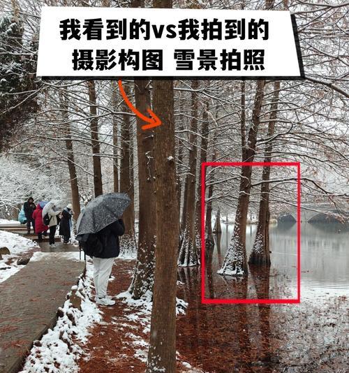 手机拍照时树木模糊是什么原因？如何改善？