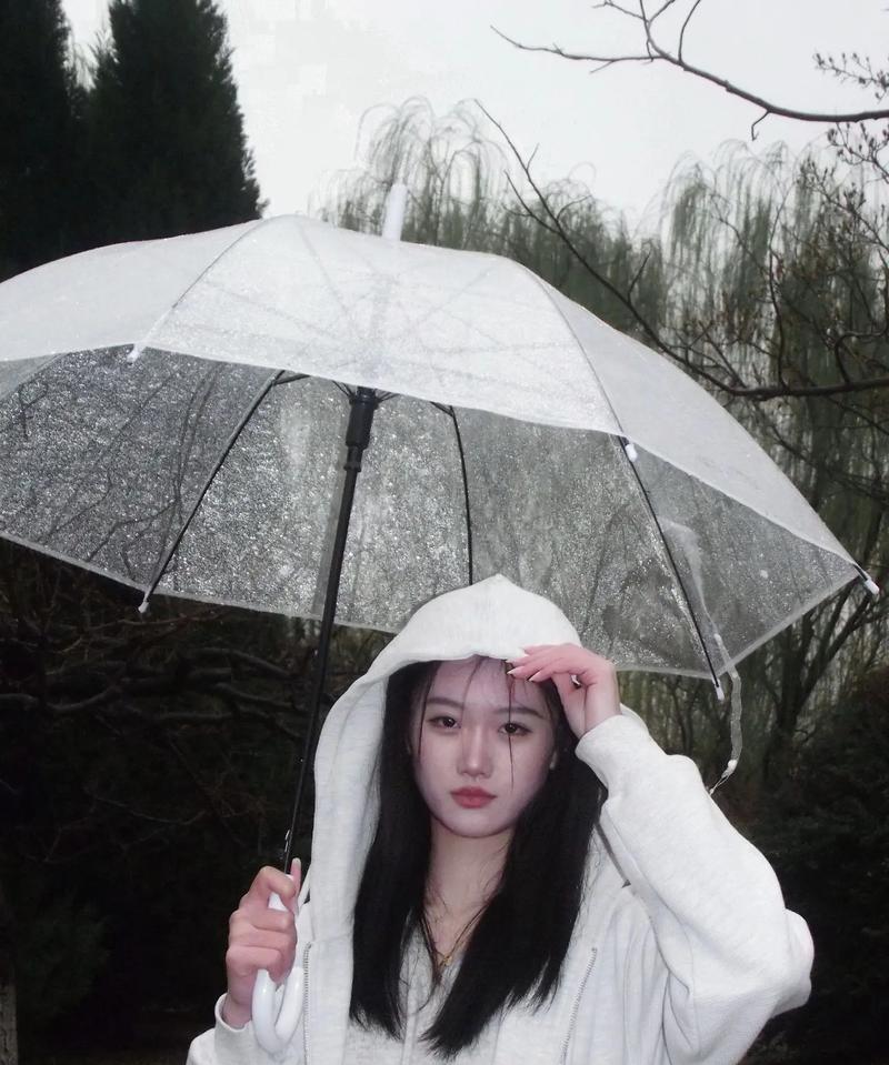 用手机在下雨天拍照怎么拍？有哪些技巧可以提高照片质量？