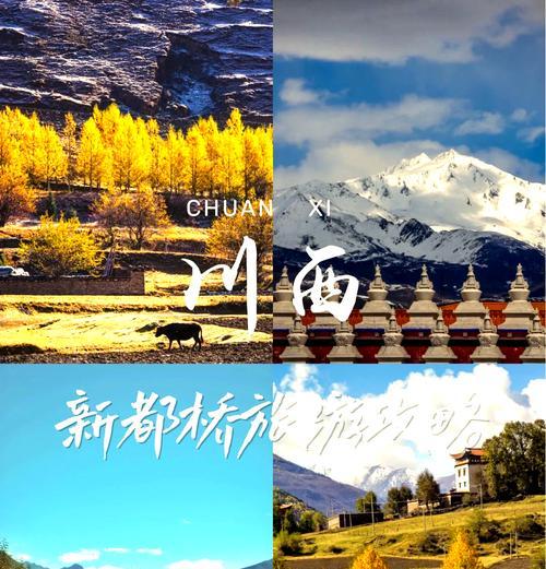 新都桥手机拍照有哪些技巧？