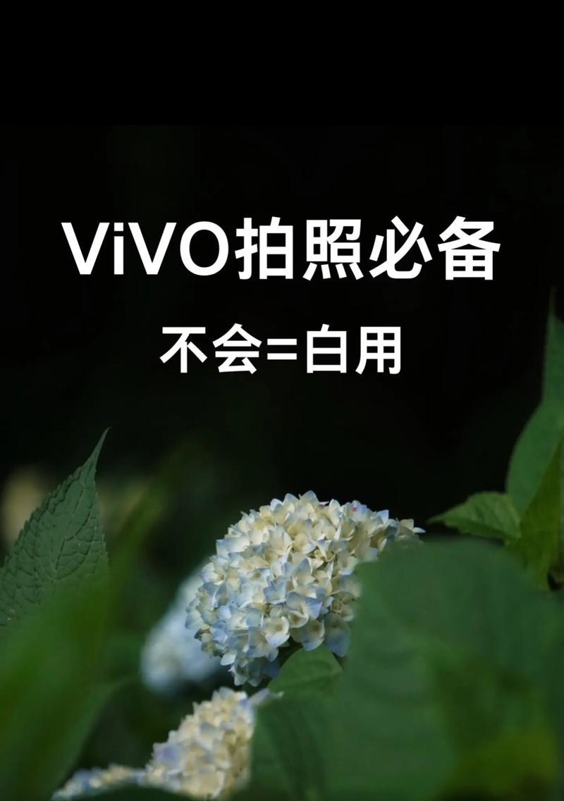 手机拍照突然变暗是什么原因？如何调整？