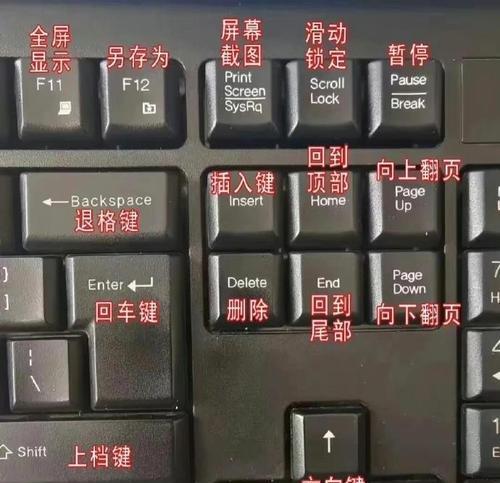 戴尔笔记本F1至F12键功能如何激活？操作步骤是什么？