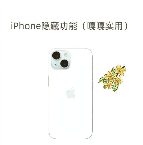 手机拍照不显示型号如何解决？设置方法是什么？