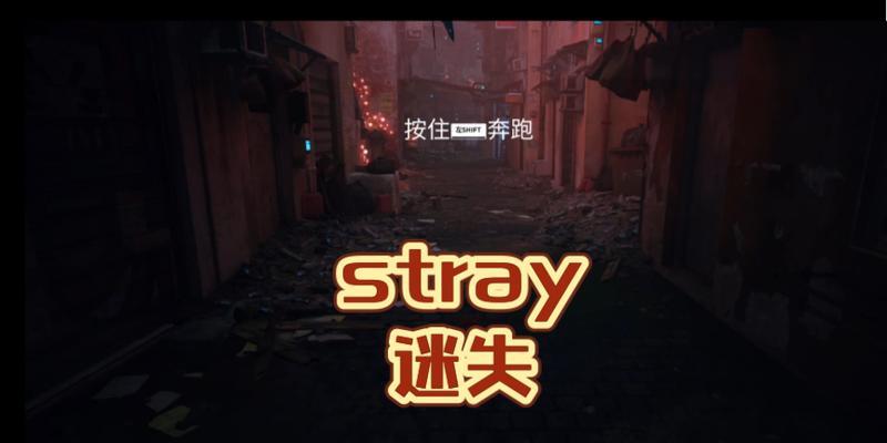 迷失stray如何在笔记本电脑上下载？下载过程中需要注意什么？