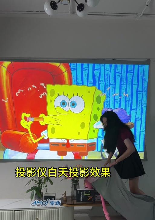 夏新投影仪格式调整的方法是什么？
