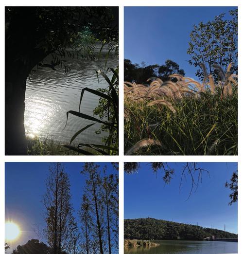 如何在安卓手机上拍摄广角照片？广角拍照有哪些技巧？