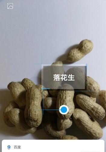 手机拍照时如何使用相机装饰件？操作指南是什么？