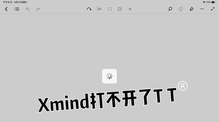 Xmind打不开时应该怎么办？有哪些可能的解决方法？