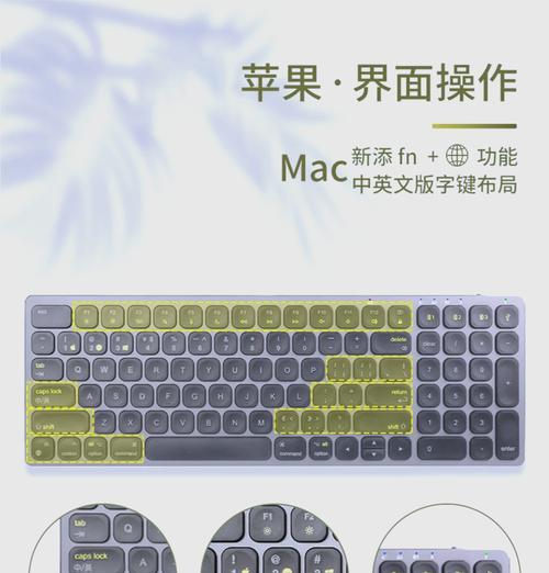 Mac复制粘贴的快捷键是什么？如何在Mac上快速复制粘贴？