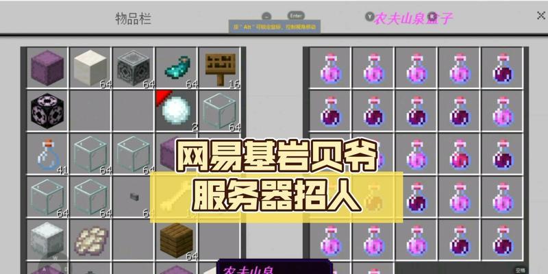 网易版指令服务器使用方法是什么？