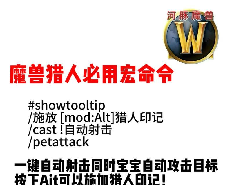 魔兽宝宝攻击命令是什么？如何正确发出？