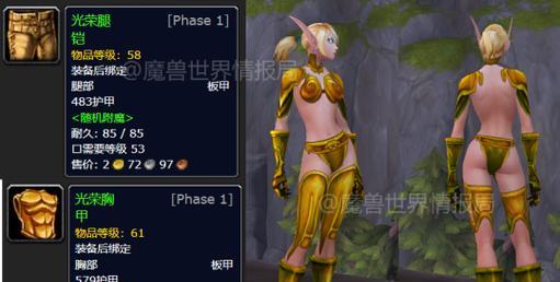 战士职业胸甲在魔兽世界中如何获得？