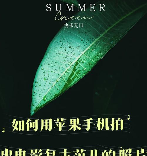 黑色苹果手机照片如何导出？有哪些步骤？