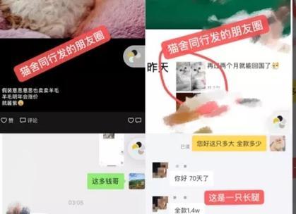广东人使用热水器的情况如何？背后的原因是什么？