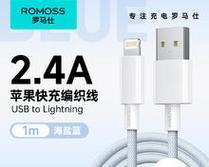 苹果冰淇淋充电器的功率是多少瓦？