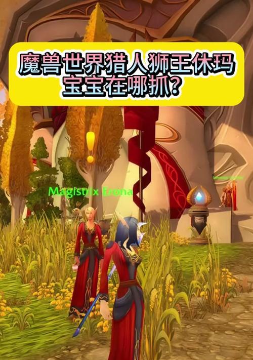 魔兽世界中如何抓取宝宝？操作步骤是什么？