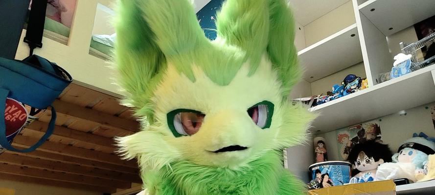 洛克王国武斗酷猫进化条件是什么？进化过程中需要注意什么？