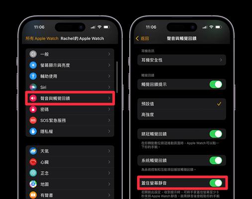 苹果xr如何快速设置静音？有哪些设置选项？