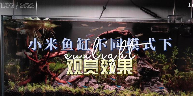 小米鱼缸连接电源线的正确方法是什么？