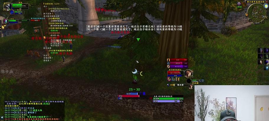 魔兽宝宝的经验如何获得？有哪些快速方法？