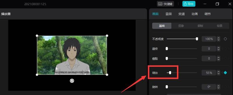 角色移动缩放设置方法是什么？