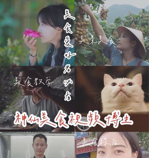 英雄联盟下饭操作博主是谁？如何找到他们的视频？