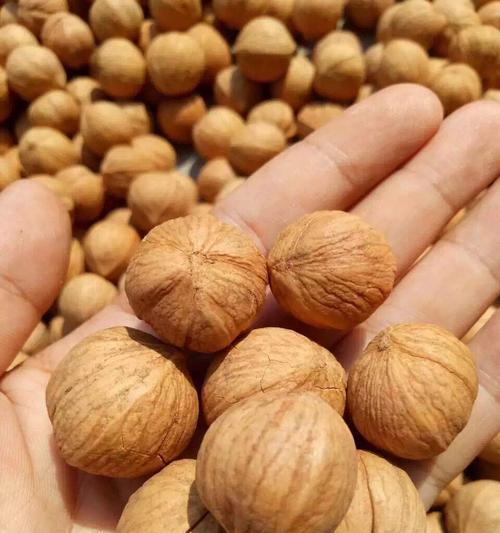 核桃蓝牙耳机壳拆卸方法是什么？拆开后如何组装？