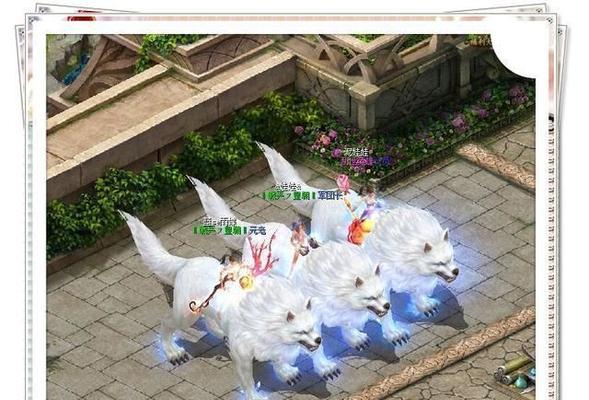 魔域手游神谕卡怎么用不了？遇到的问题和解决方法是什么？
