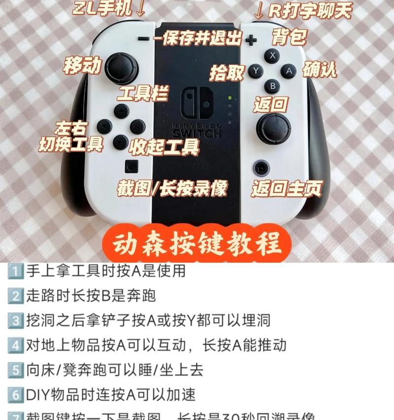 如何查看Switch虚拟系统版本？Switch系统版本有什么用？