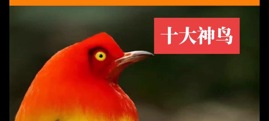 完美世界幻兽技能锁购买流程？价格是多少？