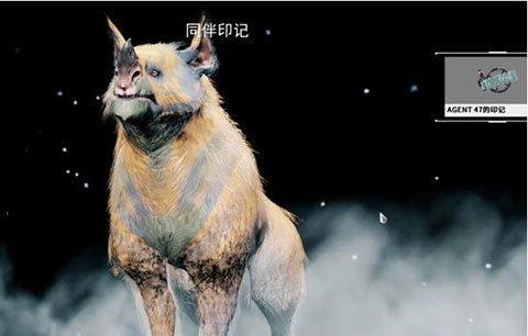 星际战甲宠物命名中文怎么设置？如何正确命名？